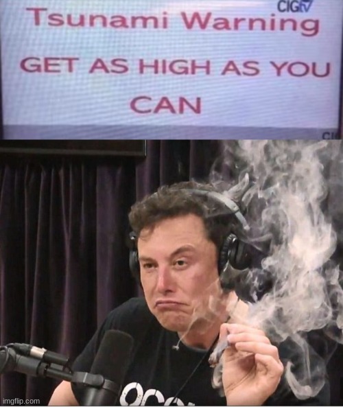 uh.. elon.. you're not going to survive.. | image tagged in elon musk smoking a joint,memes,tsunami | made w/ Imgflip meme maker