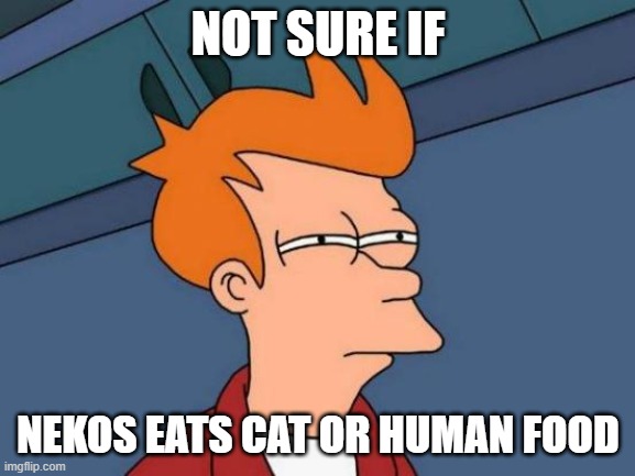 what do Nekos eat | NOT SURE IF; NEKOS EATS CAT OR HUMAN FOOD | image tagged in memes,futurama fry | made w/ Imgflip meme maker