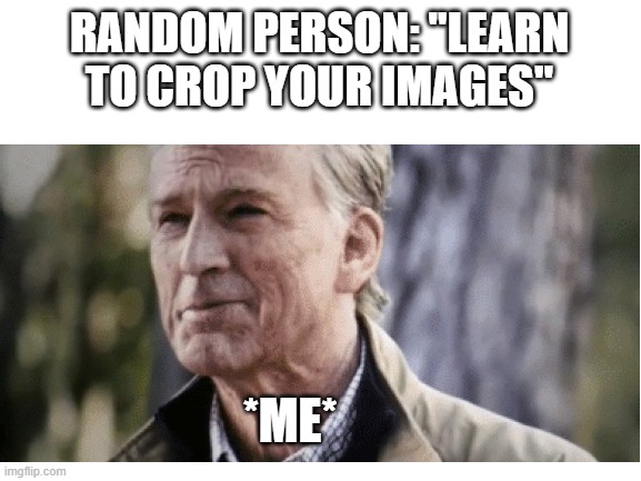 RANDOM PERSON: "LEARN TO CROP YOUR IMAGES"; *ME* | image tagged in funny,no i don't think i will | made w/ Imgflip meme maker