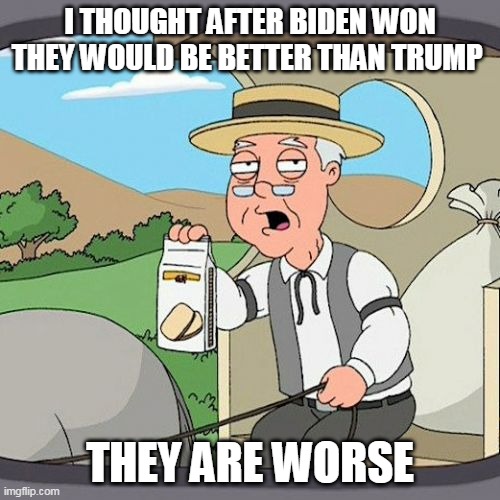 We warned y'all but you guys would not listen | I THOUGHT AFTER BIDEN WON THEY WOULD BE BETTER THAN TRUMP; THEY ARE WORSE | image tagged in memes,pepperidge farm remembers,warning,politics | made w/ Imgflip meme maker