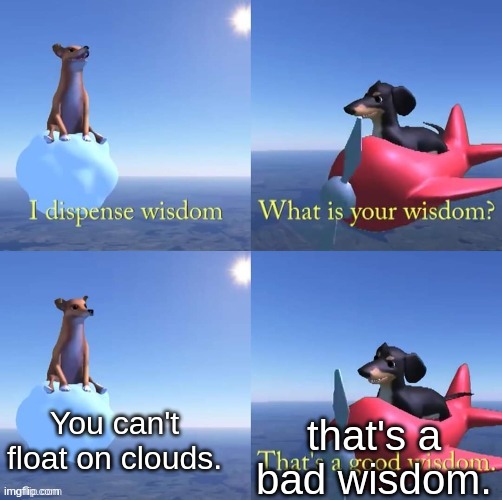 Wisdom dog | You can't float on clouds. that's a bad wisdom. | image tagged in wisdom dog | made w/ Imgflip meme maker