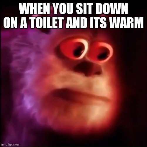 Mmmm | WHEN YOU SIT DOWN ON A TOILET AND ITS WARM | image tagged in monster inc | made w/ Imgflip meme maker