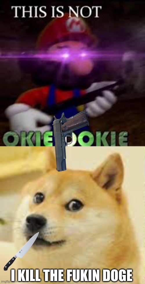 DONT DO IT MARIO! | I KILL THE FUKIN DOGE | image tagged in this is not okie dokie | made w/ Imgflip meme maker