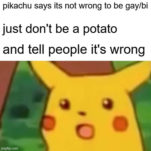 Surprised Pikachu Meme | pikachu says its not wrong to be gay/bi; just don't be a potato; and tell people it's wrong | image tagged in memes,surprised pikachu | made w/ Imgflip meme maker