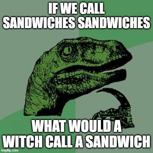 Philosoraptor Meme | IF WE CALL SANDWICHES SANDWICHES; WHAT WOULD A WITCH CALL A SANDWICH | image tagged in memes,philosoraptor | made w/ Imgflip meme maker