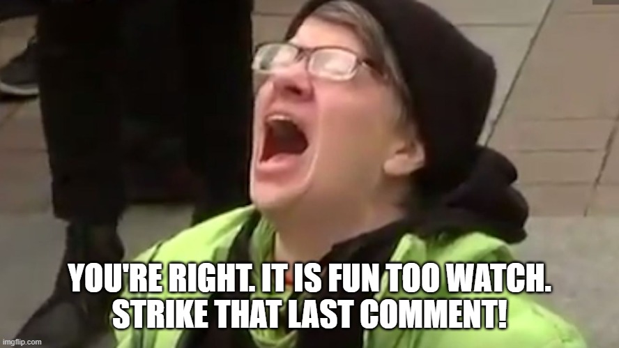YOU'RE RIGHT. IT IS FUN TOO WATCH.
STRIKE THAT LAST COMMENT! | image tagged in screaming liberal | made w/ Imgflip meme maker