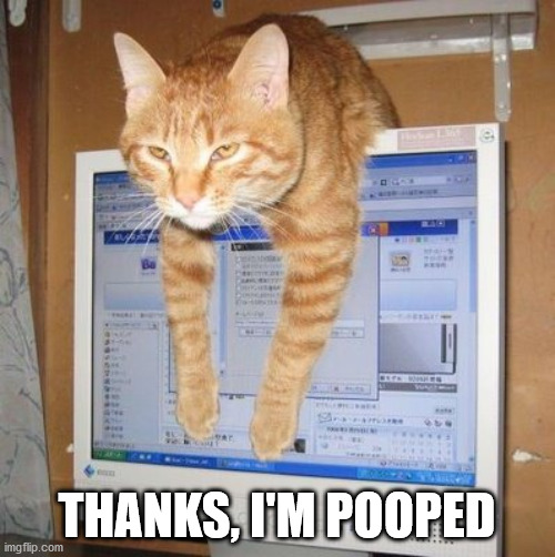 Cat thank you | THANKS, I'M POOPED | image tagged in cat thank you | made w/ Imgflip meme maker