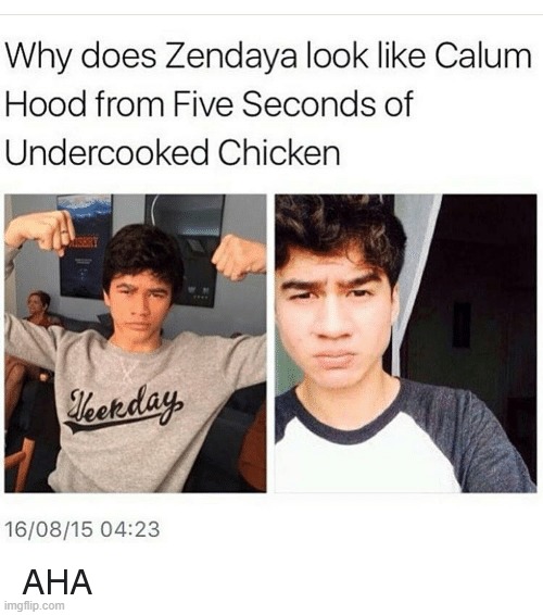 5 seconds of undercooked chicken | image tagged in 5sos | made w/ Imgflip meme maker