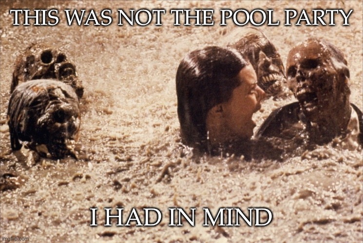 Poltergeist Pool Bodies | THIS WAS NOT THE POOL PARTY; I HAD IN MIND | image tagged in poltergeist pool bodies | made w/ Imgflip meme maker