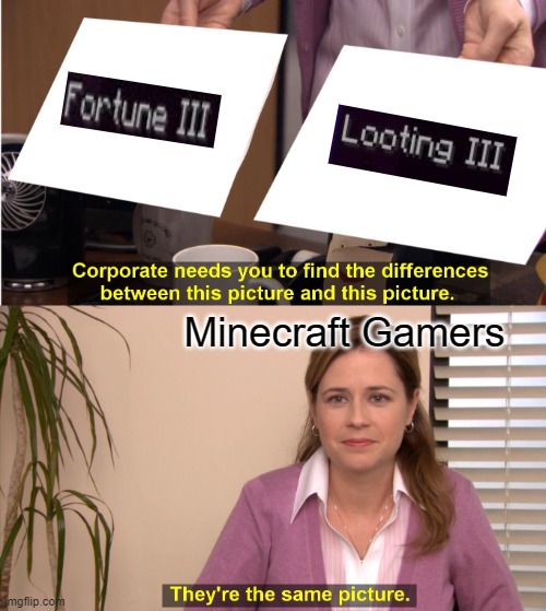 What are the diffrences? (Minecraft Edition) (A Meme) | Minecraft Gamers | image tagged in memes,they're the same picture | made w/ Imgflip meme maker