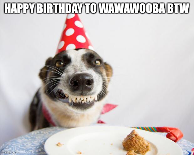 birthday dog | HAPPY BIRTHDAY TO WAWAWOOBA BTW | image tagged in birthday dog | made w/ Imgflip meme maker
