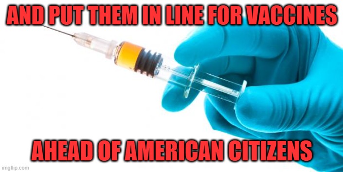 Syringe vaccine medicine | AND PUT THEM IN LINE FOR VACCINES AHEAD OF AMERICAN CITIZENS | image tagged in syringe vaccine medicine | made w/ Imgflip meme maker