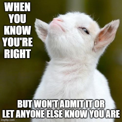 WHEN YOU KNOW YOU'RE RIGHT; BUT WON'T ADMIT IT OR LET ANYONE ELSE KNOW YOU ARE | image tagged in suspicious lamb | made w/ Imgflip meme maker