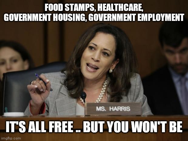 It's only free if you were already broke | FOOD STAMPS, HEALTHCARE, GOVERNMENT HOUSING, GOVERNMENT EMPLOYMENT; IT'S ALL FREE .. BUT YOU WON'T BE | image tagged in kamala harris | made w/ Imgflip meme maker