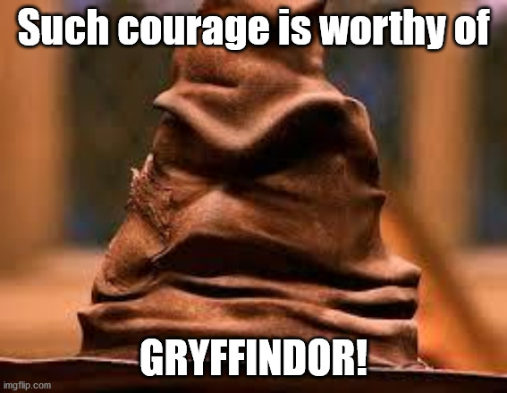 Harry Potter Sorting Hat | Such courage is worthy of GRYFFINDOR! | image tagged in harry potter sorting hat | made w/ Imgflip meme maker