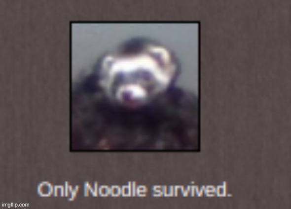 new temp | image tagged in only noodle survived | made w/ Imgflip meme maker