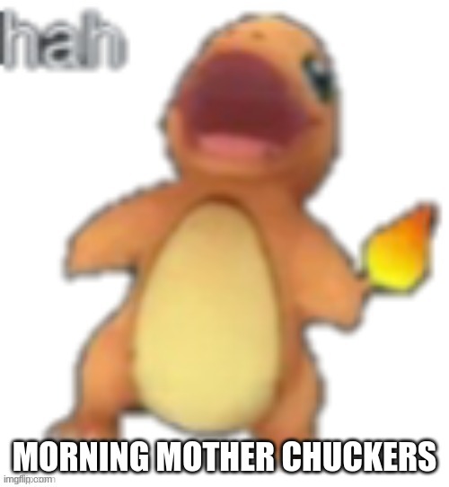 Im not gonna be on much today, since It's my sisters Bday, and I gotta help out. | MORNING MOTHER CHUCKERS | image tagged in charmander hah | made w/ Imgflip meme maker