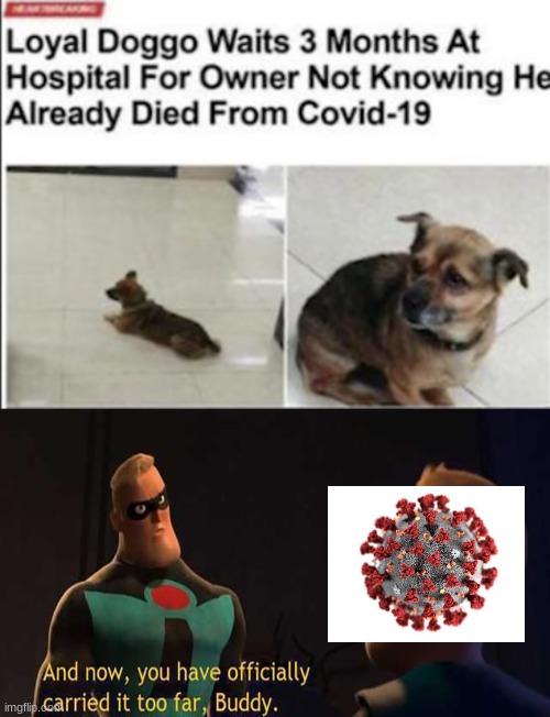 covid is more trash than my skill at memes | image tagged in and now you have officially gone too far buddy,loyal doggo | made w/ Imgflip meme maker