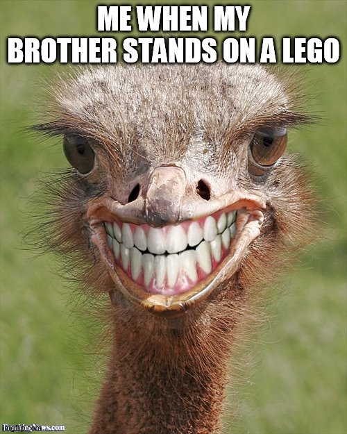 Ok | ME WHEN MY BROTHER STANDS ON A LEGO | image tagged in ok | made w/ Imgflip meme maker