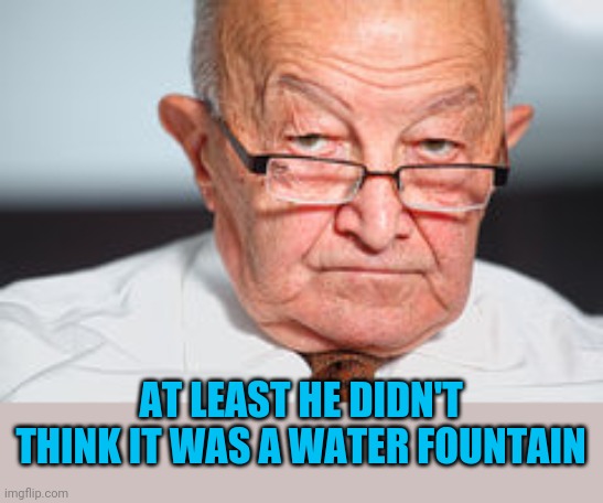 Disapproval | AT LEAST HE DIDN'T THINK IT WAS A WATER FOUNTAIN | image tagged in disapproval | made w/ Imgflip meme maker