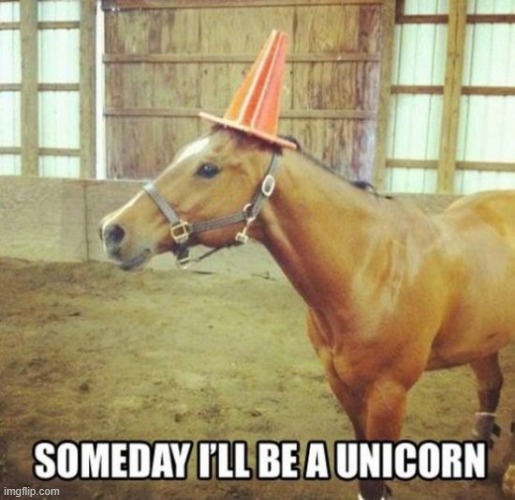 Horse Dreams | image tagged in vince vance,horses,unicorns,memes | made w/ Imgflip meme maker