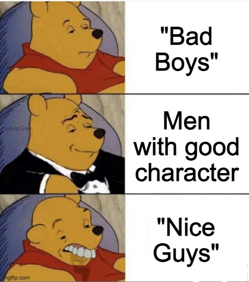 Tuxedo Pooh With Idiot | "Bad Boys"; Men with good character; "Nice Guys" | image tagged in tuxedo pooh with idiot | made w/ Imgflip meme maker