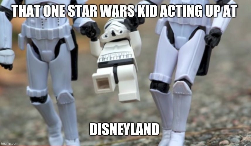  THAT ONE STAR WARS KID ACTING UP AT; DISNEYLAND | image tagged in funny | made w/ Imgflip meme maker