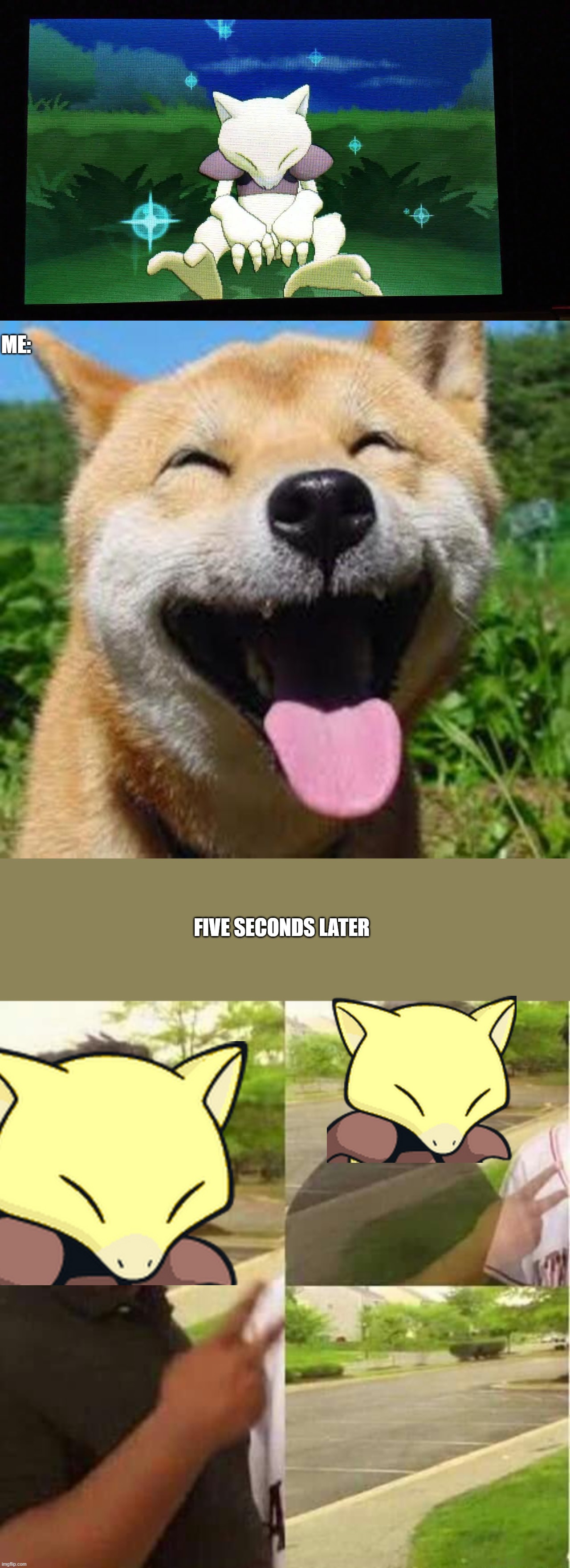 Shiny Hunting Woes pt 2 | ME:; FIVE SECONDS LATER | image tagged in disappearing | made w/ Imgflip meme maker