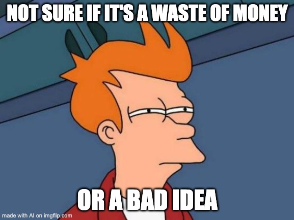 Could be both | NOT SURE IF IT'S A WASTE OF MONEY; OR A BAD IDEA | image tagged in memes,futurama fry | made w/ Imgflip meme maker