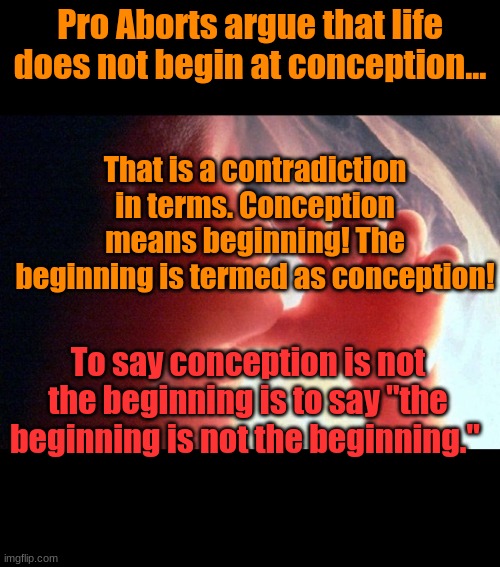 You idiot. | Pro Aborts argue that life does not begin at conception... That is a contradiction in terms. Conception means beginning! The beginning is termed as conception! To say conception is not the beginning is to say "the beginning is not the beginning." | image tagged in abortion | made w/ Imgflip meme maker