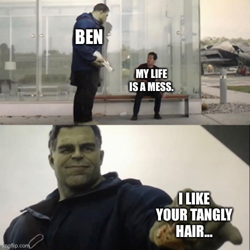 I Like your hair | BEN; MY LIFE IS A MESS. I LIKE YOUR TANGLY HAIR... | image tagged in hulk taco | made w/ Imgflip meme maker