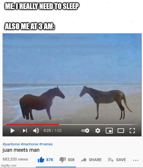 Juan meets man | ME: I REALLY NEED TO SLEEP; ALSO ME AT 3 AM: | image tagged in juan,horse,me at 3 am,man | made w/ Imgflip meme maker