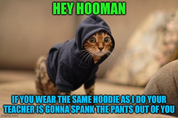 Hoody Cat Meme | HEY HOOMAN; IF YOU WEAR THE SAME HOODIE AS I DO YOUR TEACHER IS GONNA SPANK THE PANTS OUT OF YOU | image tagged in memes,hoody cat | made w/ Imgflip meme maker
