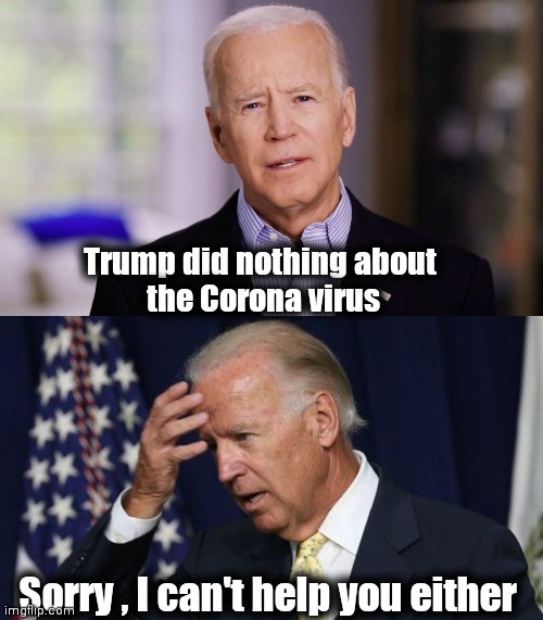 Trump did nothing about 
the Corona virus Sorry , I can't help you either | image tagged in joe biden 2020,joe biden worries | made w/ Imgflip meme maker