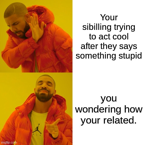 Drake Hotline Bling Meme | Your sibilling trying to act cool after they says something stupid; you wondering how your related. | image tagged in memes,drake hotline bling | made w/ Imgflip meme maker