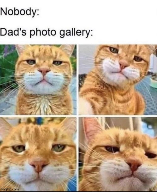 My dad's photo gallery... | image tagged in lol,dads,memes,funny memes,upvote if you agree | made w/ Imgflip meme maker