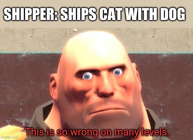 DoN'T Do ThAt | SHIPPER: SHIPS CAT WITH DOG | image tagged in this is so wrong on many levels,dogs,cats | made w/ Imgflip meme maker