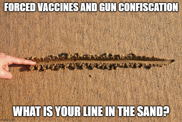 What's your line in the sand? put it in the comments. | FORCED VACCINES AND GUN CONFISCATION; WHAT IS YOUR LINE IN THE SAND? | image tagged in draw the line | made w/ Imgflip meme maker