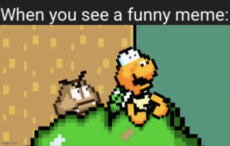 I finally got the chance to make this a template... | image tagged in memes,koopa laughing,super mario bros,koopa troopa,goomba | made w/ Imgflip meme maker