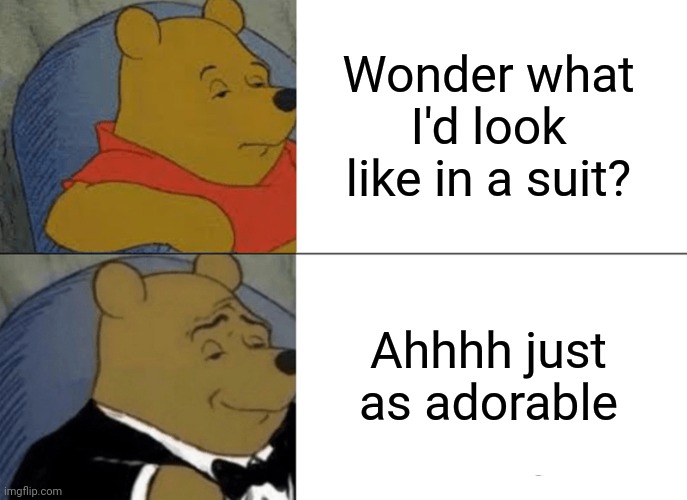 Tuxedo Winnie The Pooh | Wonder what I'd look like in a suit? Ahhhh just as adorable | image tagged in memes,tuxedo winnie the pooh | made w/ Imgflip meme maker