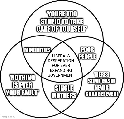 Venn diagram | 'YOURE TOO STUPID TO TAKE CARE OF YOURSELF'; MINORITIES; LIBERALS DESPERATION FOR EVER EXPANDING GOVERNMENT; POOR PEOPLE; 'NOTHING IS EVER YOUR FAULT'; 'HERES SOME CASH! NEVER CHANGE! EVER! SINGLE MOTHERS | image tagged in venn diagram | made w/ Imgflip meme maker