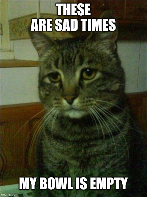 Depressed Cat | THESE ARE SAD TIMES; MY BOWL IS EMPTY | image tagged in memes,depressed cat | made w/ Imgflip meme maker