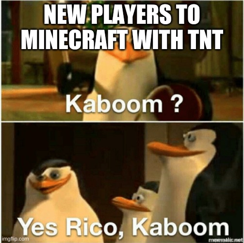 Kaboom? Yes Rico, Kaboom. | NEW PLAYERS TO MINECRAFT WITH TNT | image tagged in kaboom yes rico kaboom | made w/ Imgflip meme maker