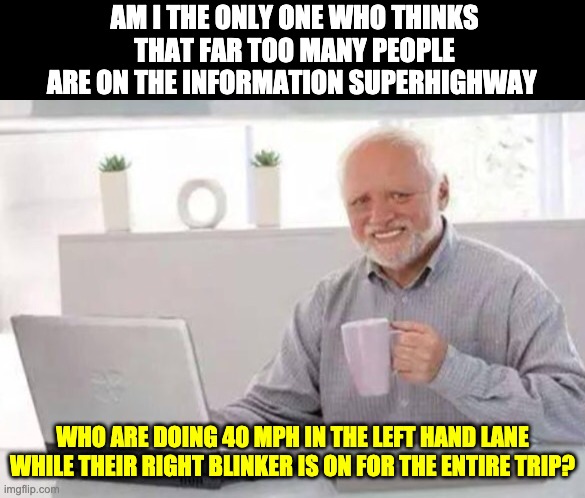 Information superhighway | AM I THE ONLY ONE WHO THINKS THAT FAR TOO MANY PEOPLE ARE ON THE INFORMATION SUPERHIGHWAY; WHO ARE DOING 40 MPH IN THE LEFT HAND LANE WHILE THEIR RIGHT BLINKER IS ON FOR THE ENTIRE TRIP? | image tagged in harold | made w/ Imgflip meme maker