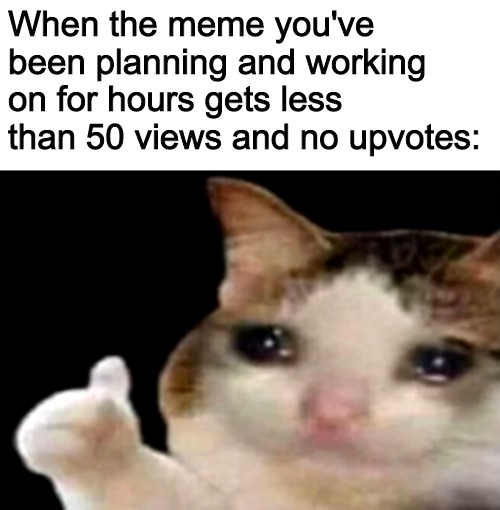 Sad cat thumbs up | When the meme you've been planning and working on for hours gets less than 50 views and no upvotes: | image tagged in sad cat thumbs up | made w/ Imgflip meme maker
