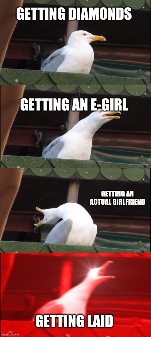 Inhaling Seagull | GETTING DIAMONDS; GETTING AN E-GIRL; GETTING AN ACTUAL GIRLFRIEND; GETTING LAID | image tagged in memes,inhaling seagull | made w/ Imgflip meme maker