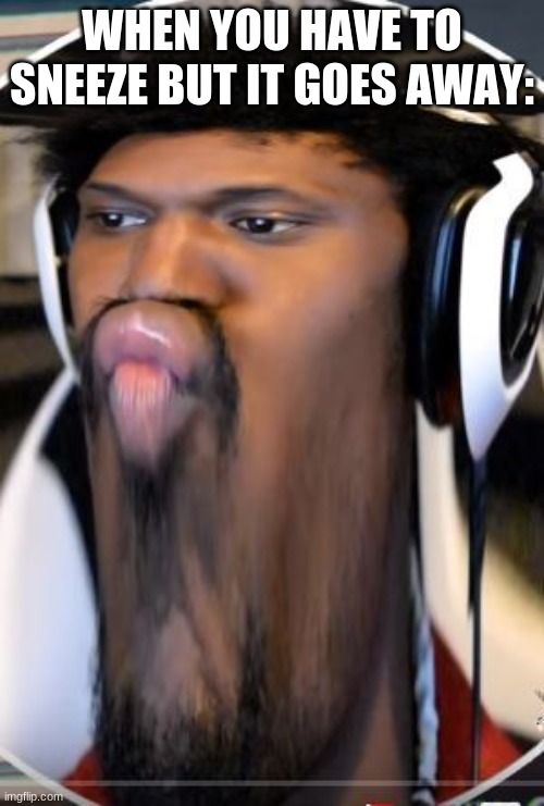 Relatable anyone? | WHEN YOU HAVE TO SNEEZE BUT IT GOES AWAY: | image tagged in coryxkenshin not pleased | made w/ Imgflip meme maker