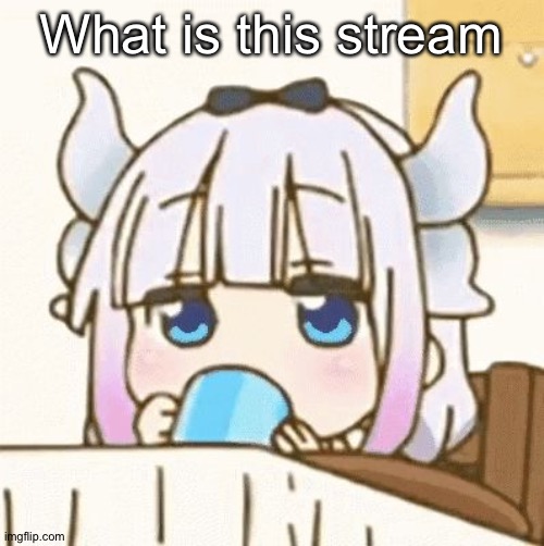 Kanna is not amused | What is this stream | image tagged in kanna is not amused | made w/ Imgflip meme maker