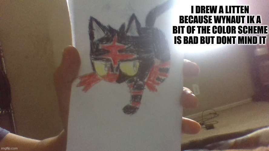 I DREW A LITTEN BECAUSE WYNAUT IK A BIT OF THE COLOR SCHEME IS BAD BUT DONT MIND IT | made w/ Imgflip meme maker