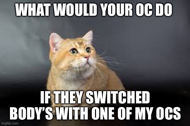 WHAT WOULD YOUR OC DO; IF THEY SWITCHED BODY’S WITH ONE OF MY OCS | made w/ Imgflip meme maker